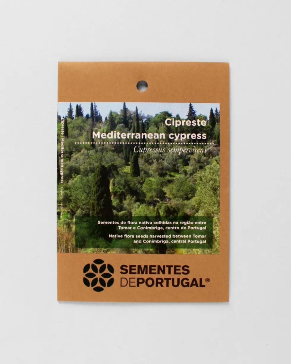 Cipreste | Sementes de Portugal