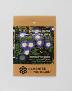 Glória-da-manhã | Sementes de Portugal