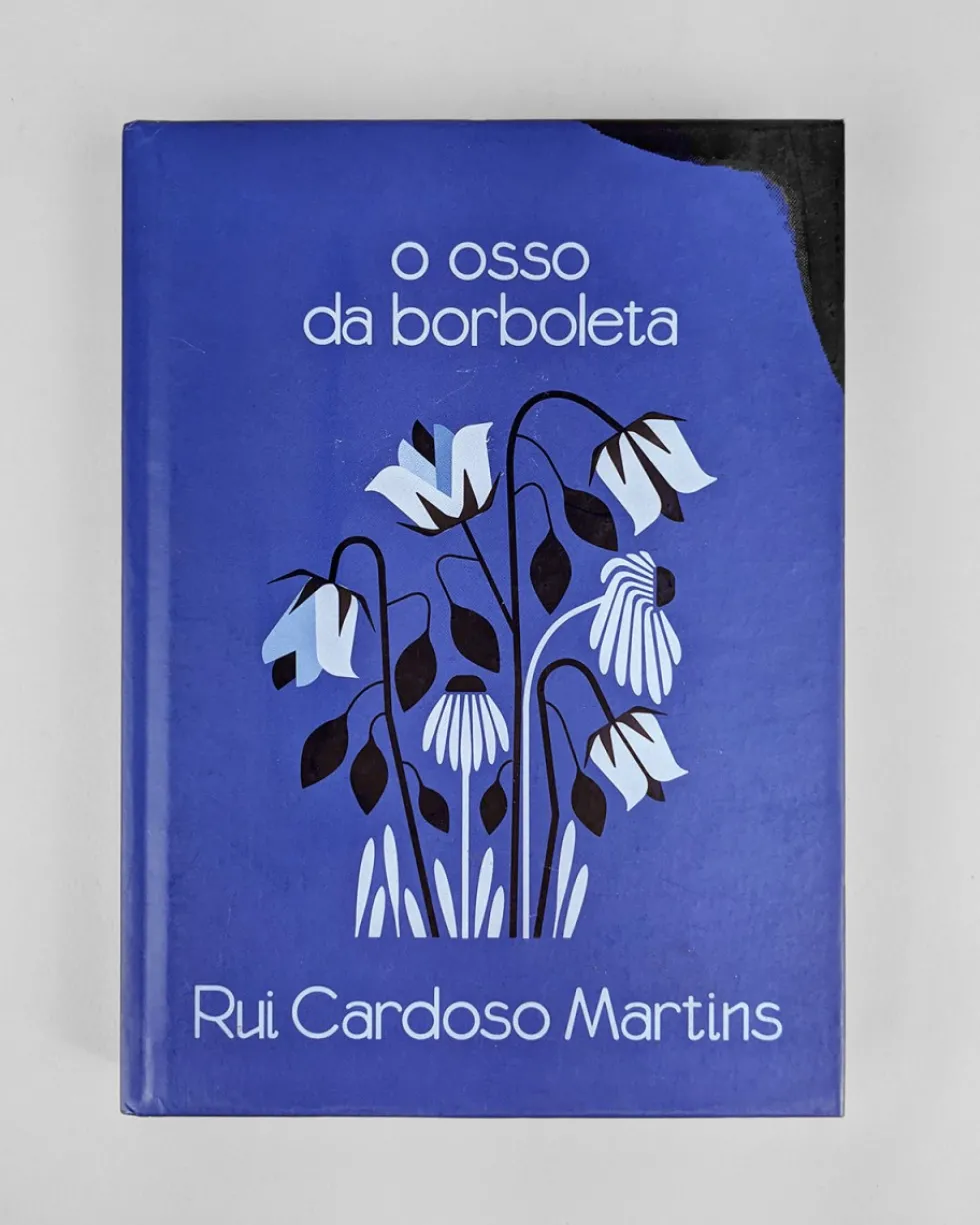 O osso da borboleta | Tinta da China