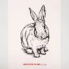 Pano Serigrafia Coelho | Inkworks