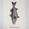 Pano Serigrafia Robalo | Inkworks