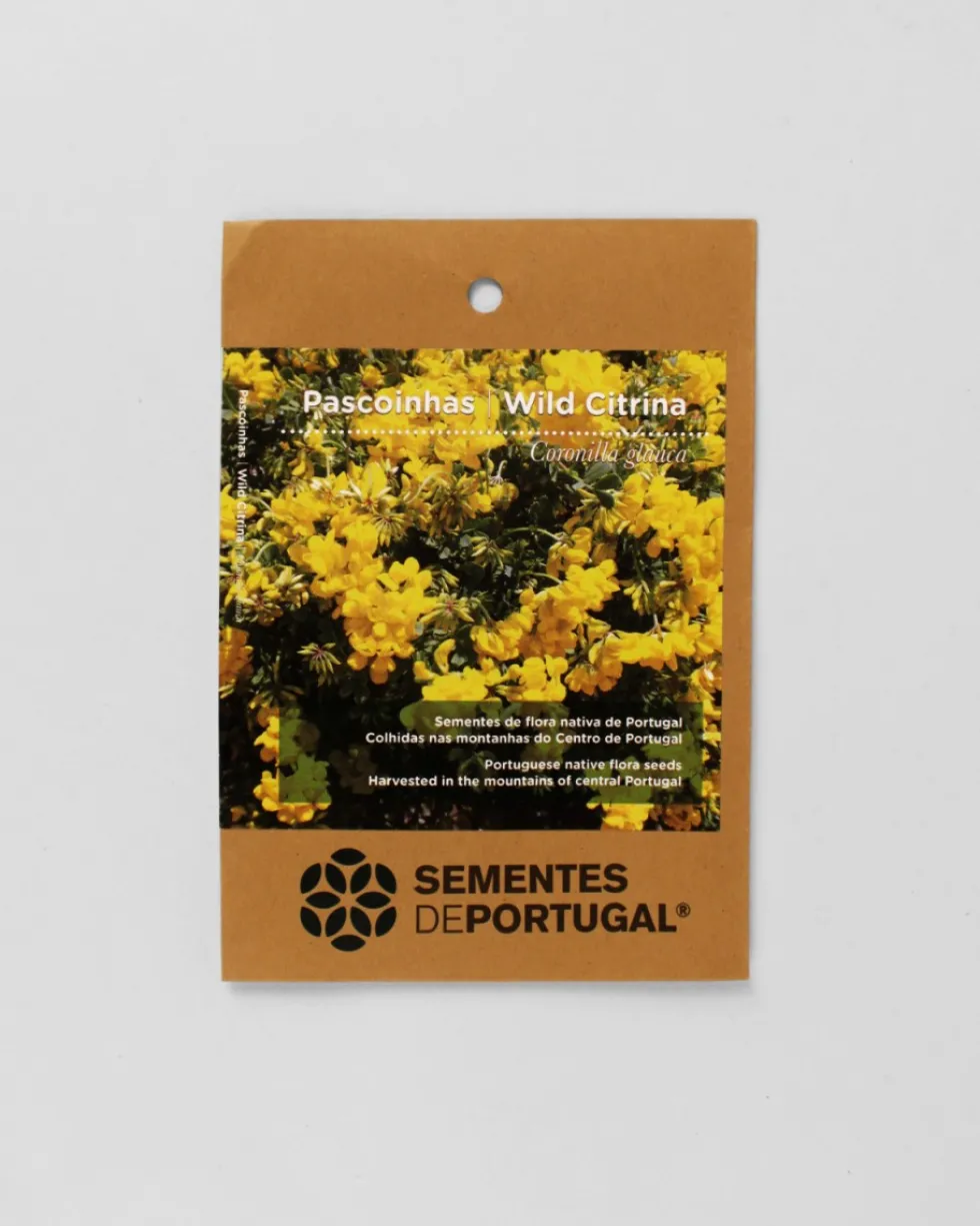 Pascoinhas | Sementes de Portugal